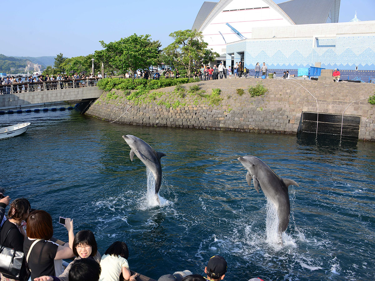 Kagoshima City Aquarium “Io-world”