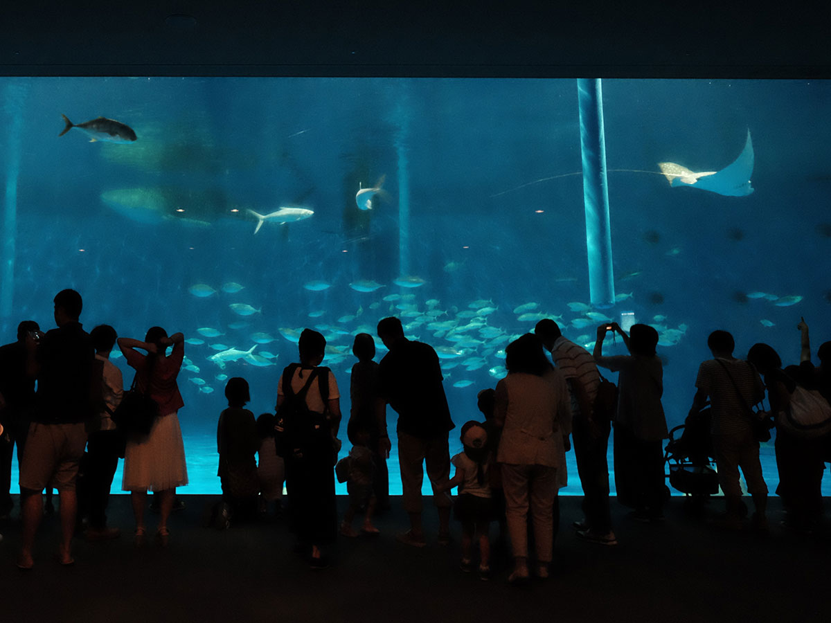 Kagoshima City Aquarium “Io-world”