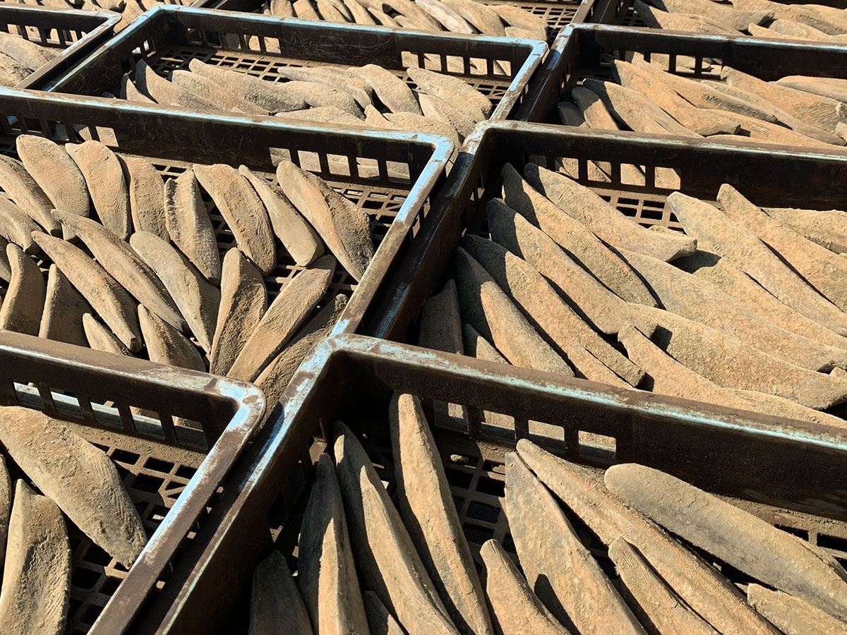 Take a Tour of a Katsuobushi Production Plant! Environmentally Friendly and Sustainable!_4