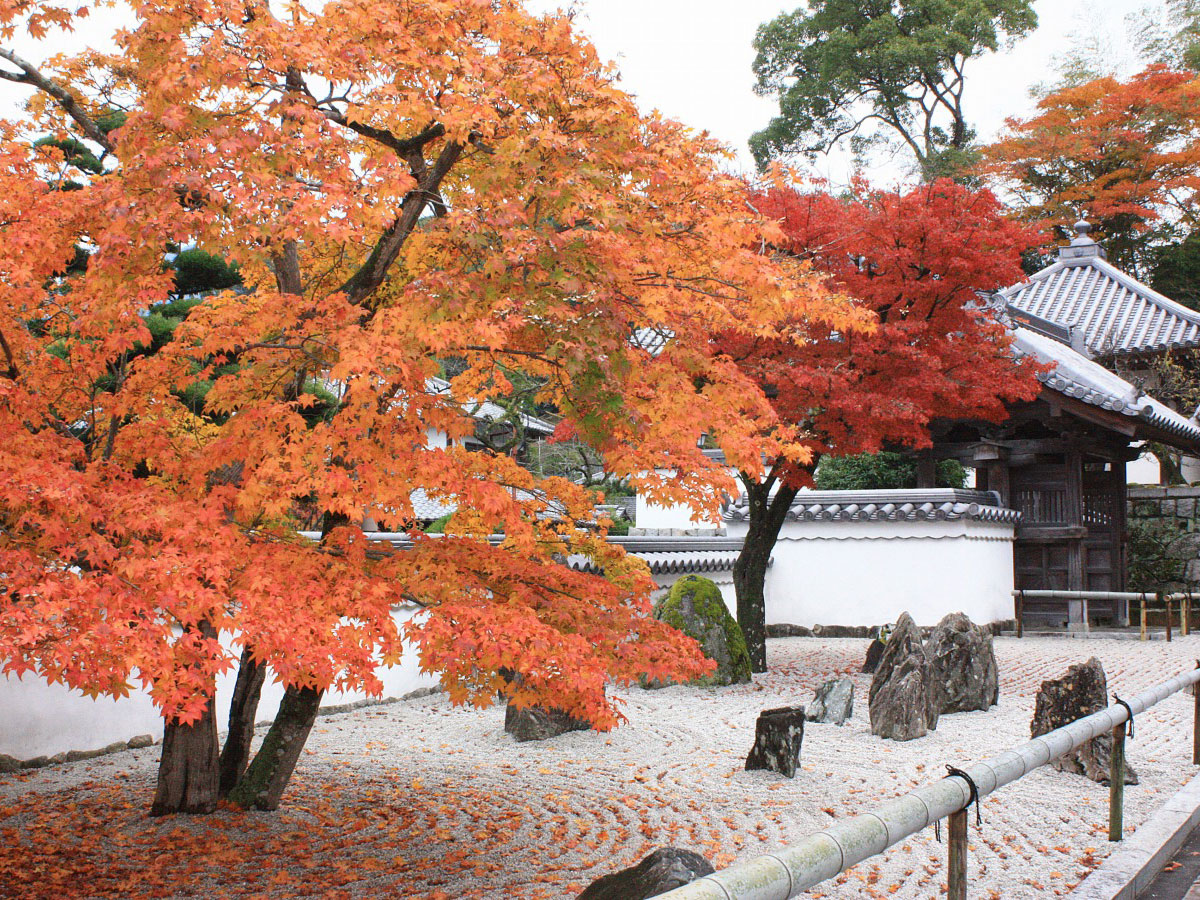 Komyozenji Temple 