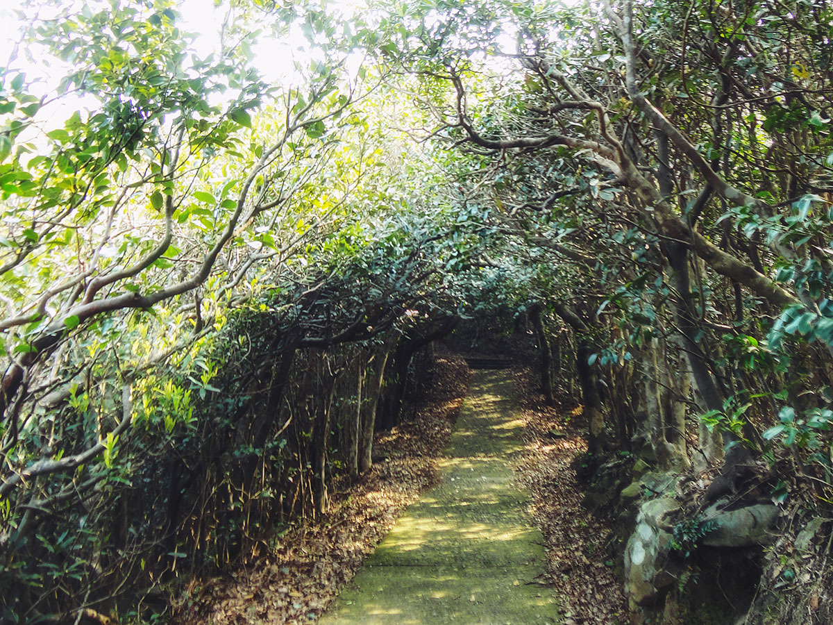 Osezaki Lighthouse & Hiking Trail