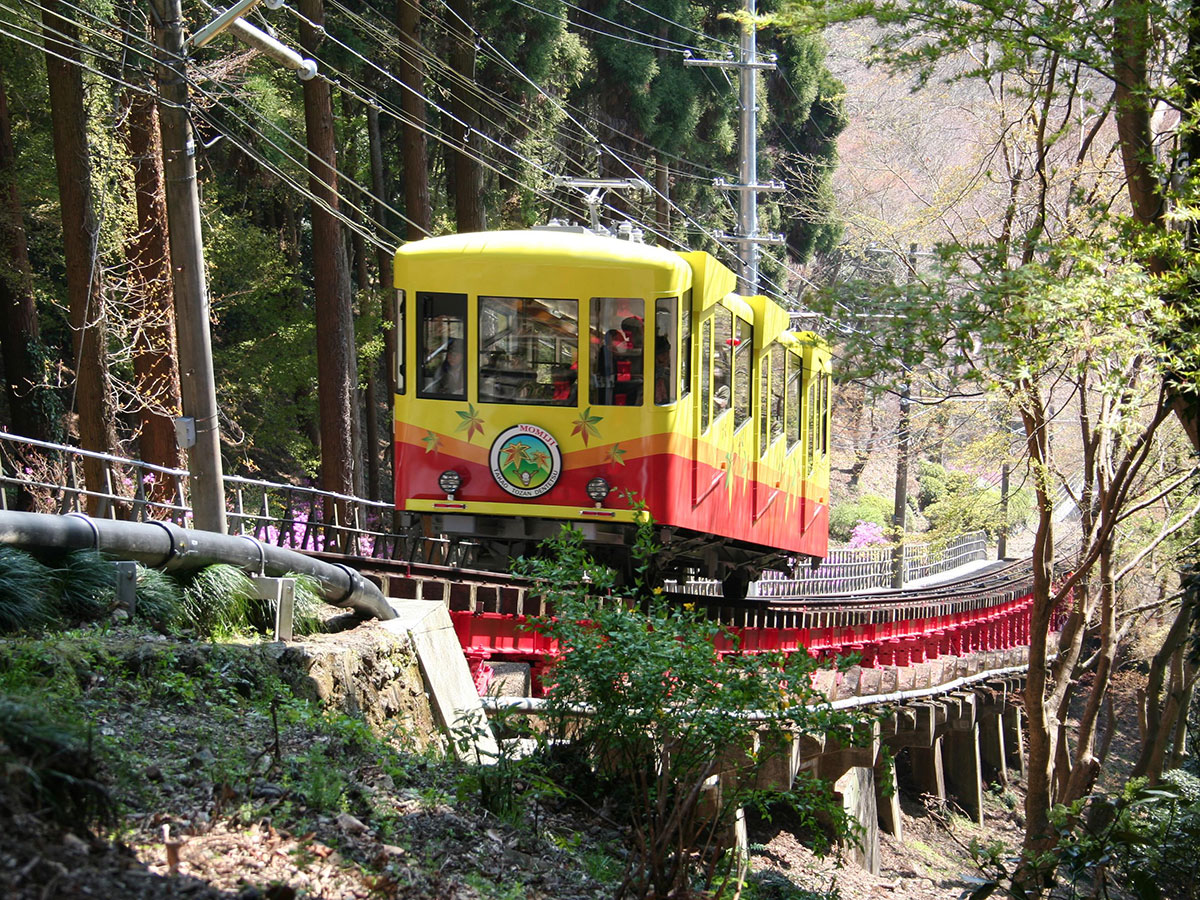 Mt. Takao