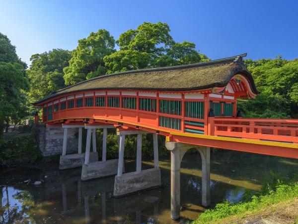 がくじん様　S (シェ) Usa Jingu Shrine | KYUSHU x TOKYO (JAPAN)