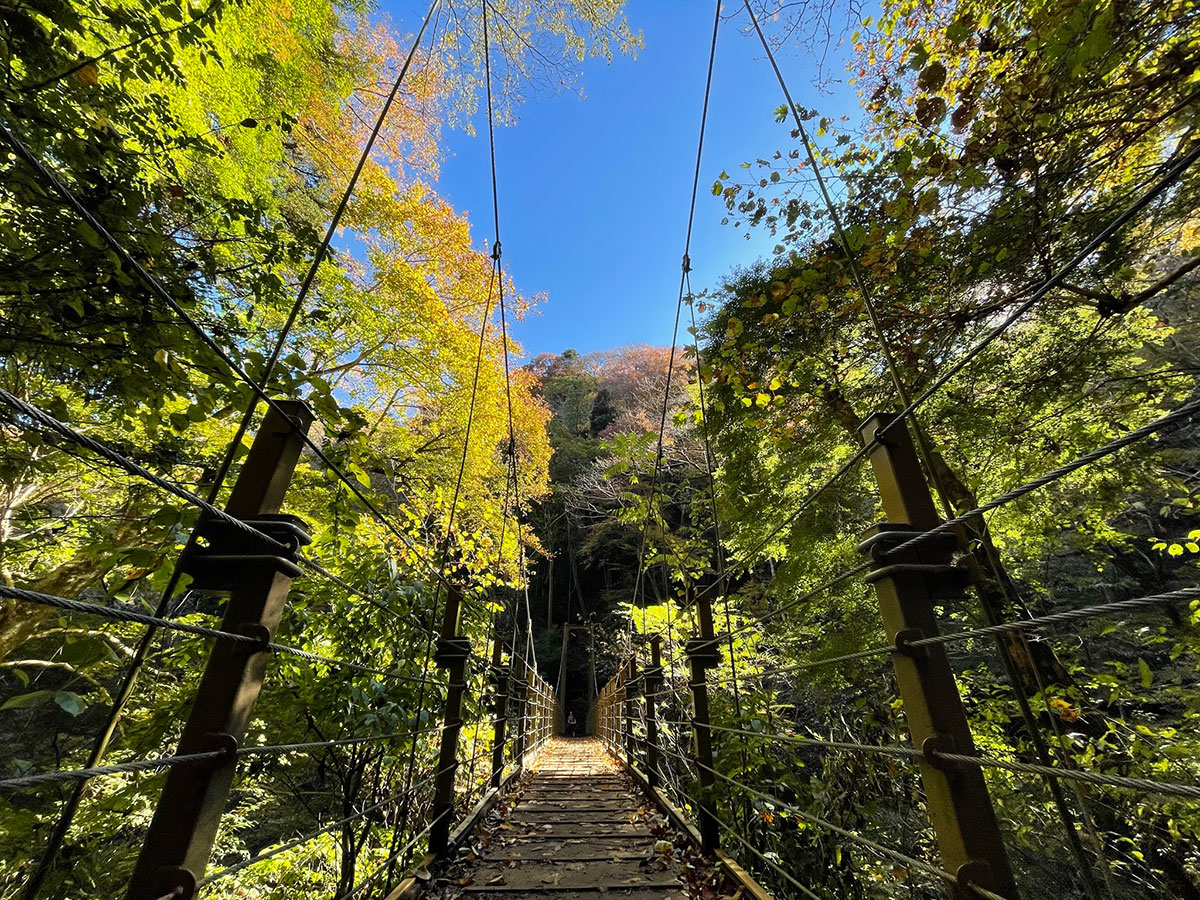 Mt. Takao | KYUSHU x TOKYO (JAPAN)