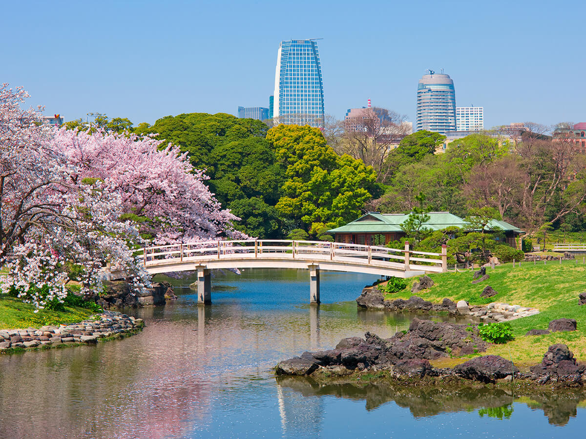 Hama-rikyu Gardens