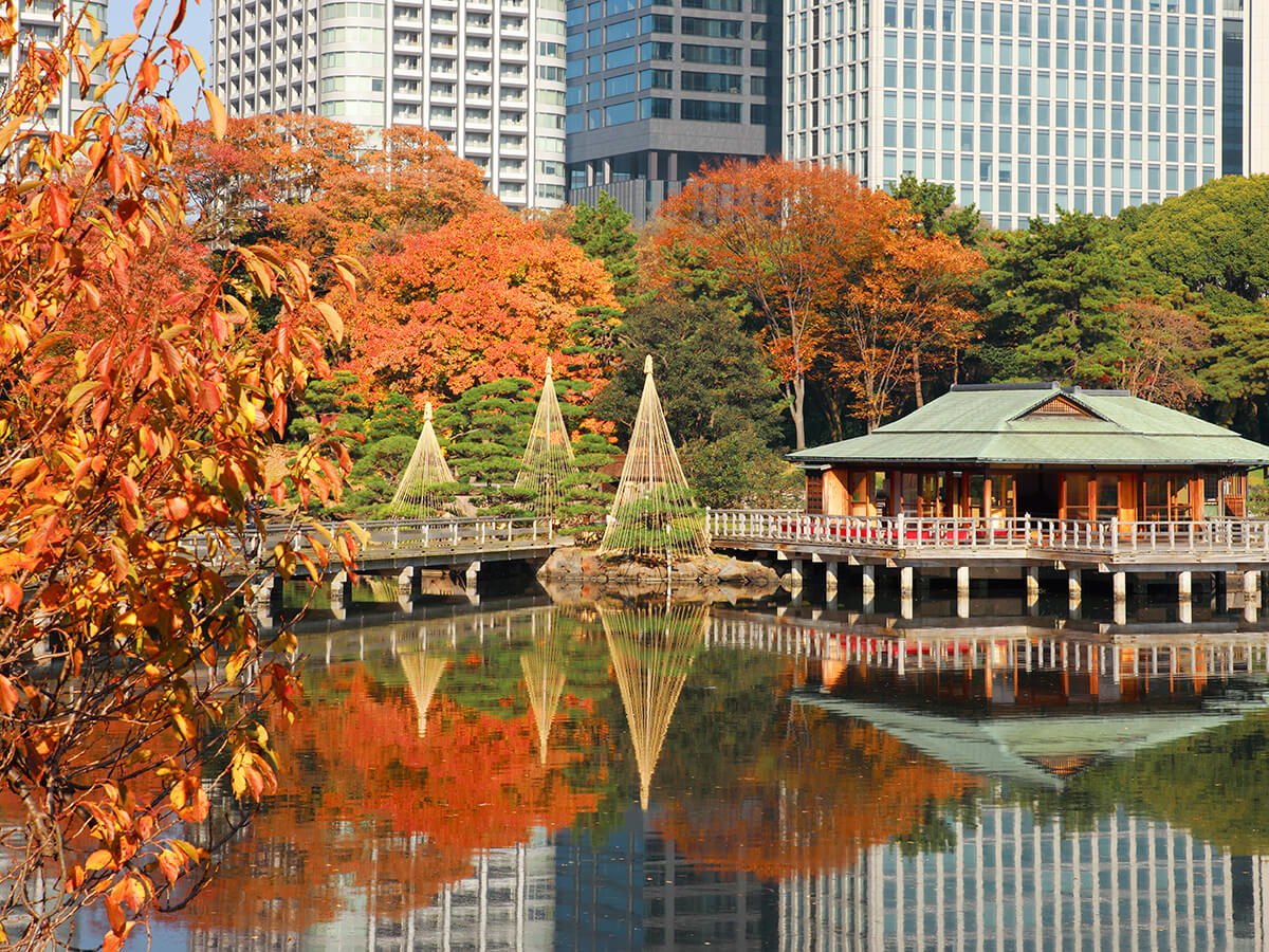 Hama Rikyu Gardens Kyushu X Tokyo Japan