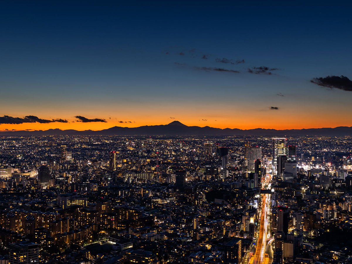 Tokyo City View