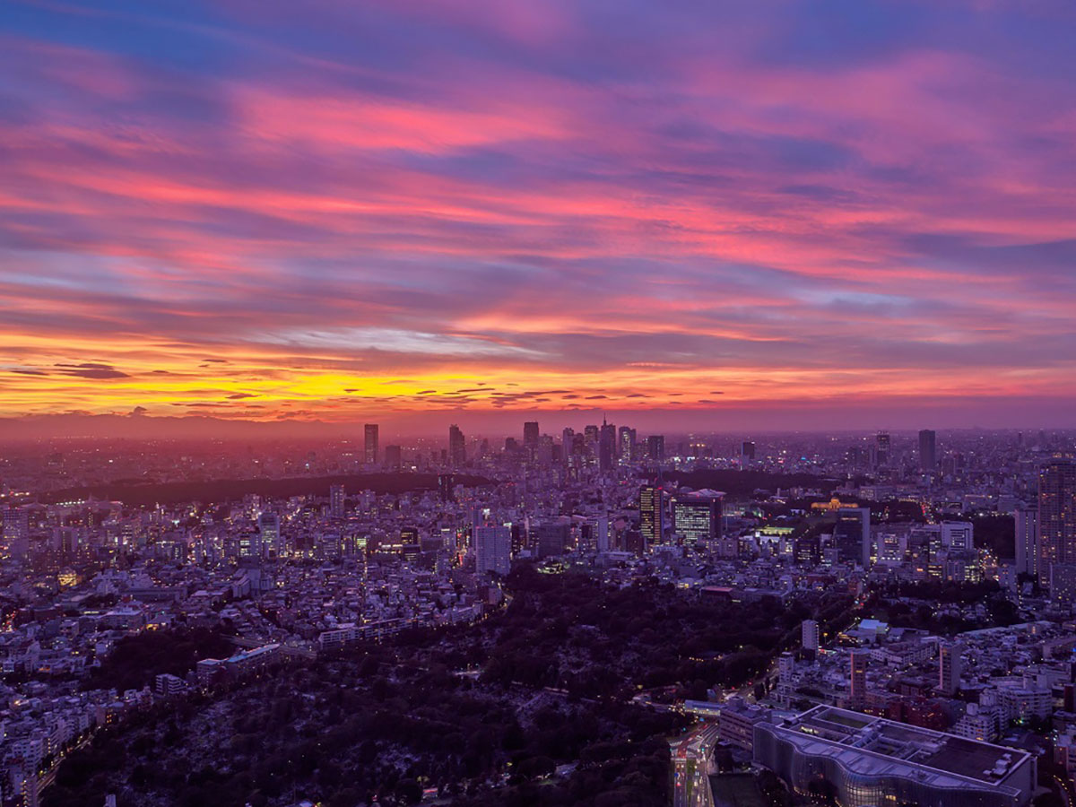 Tokyo City View