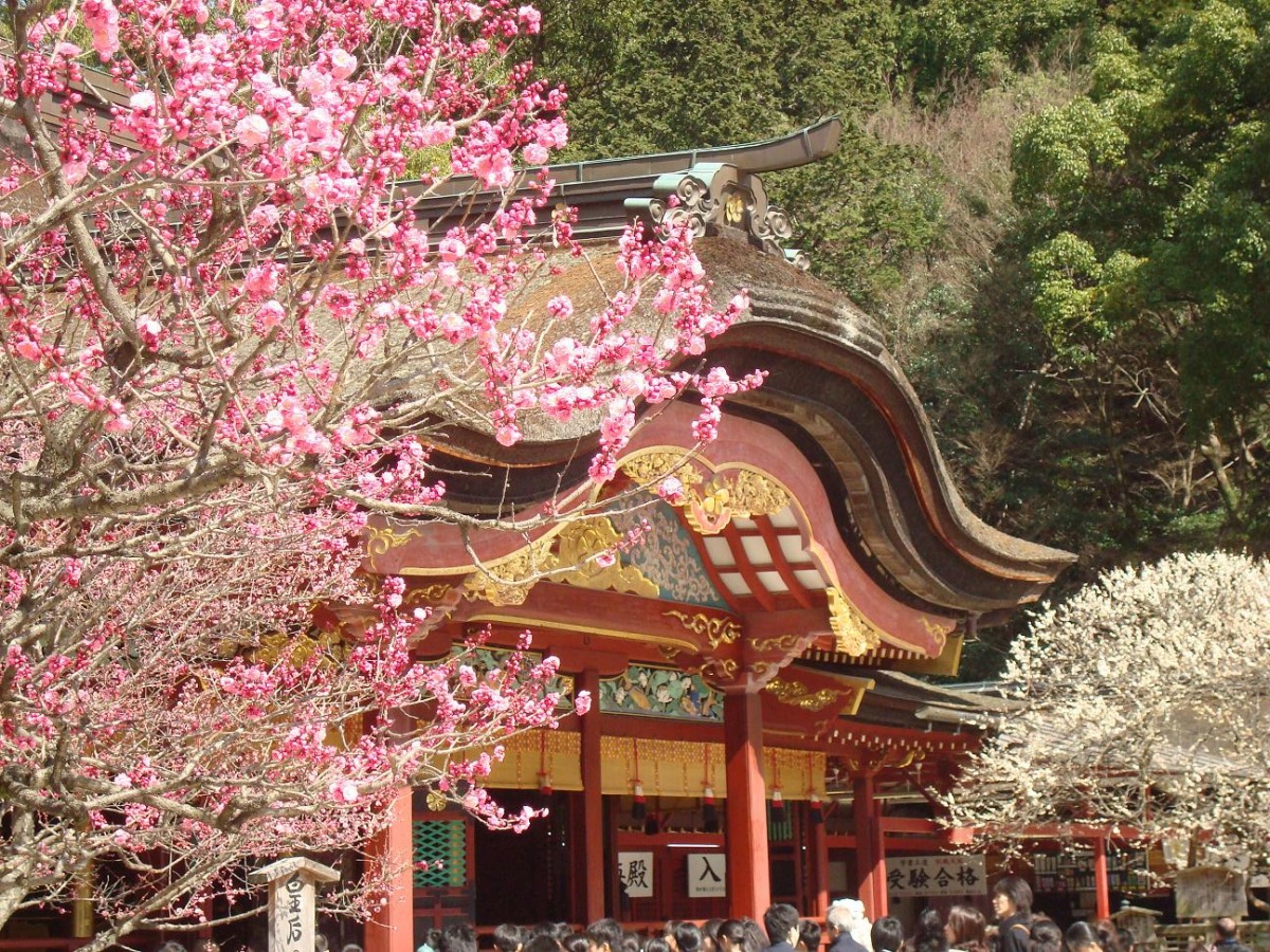 Dazaifu Tenmangu