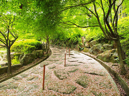 Furuyu Onsen