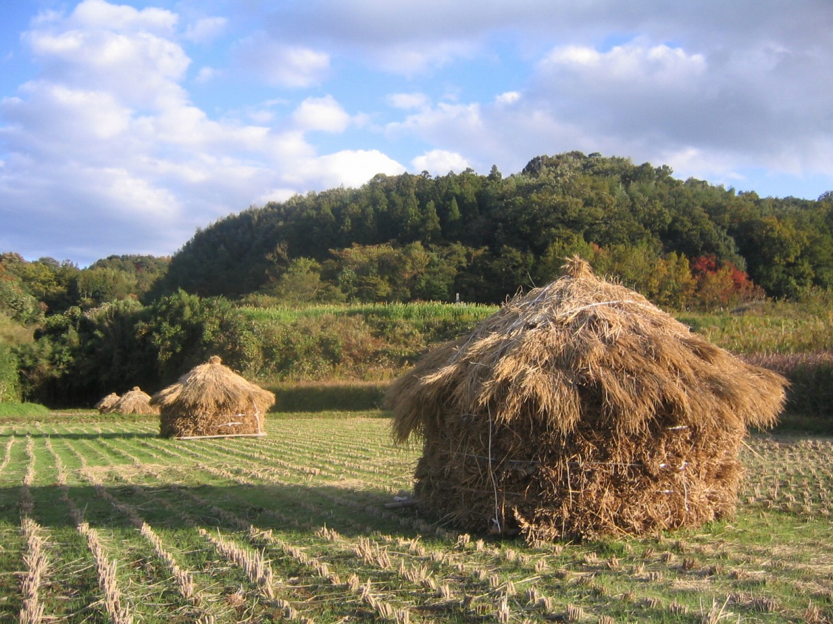 Kitchom san Village Green Tourism