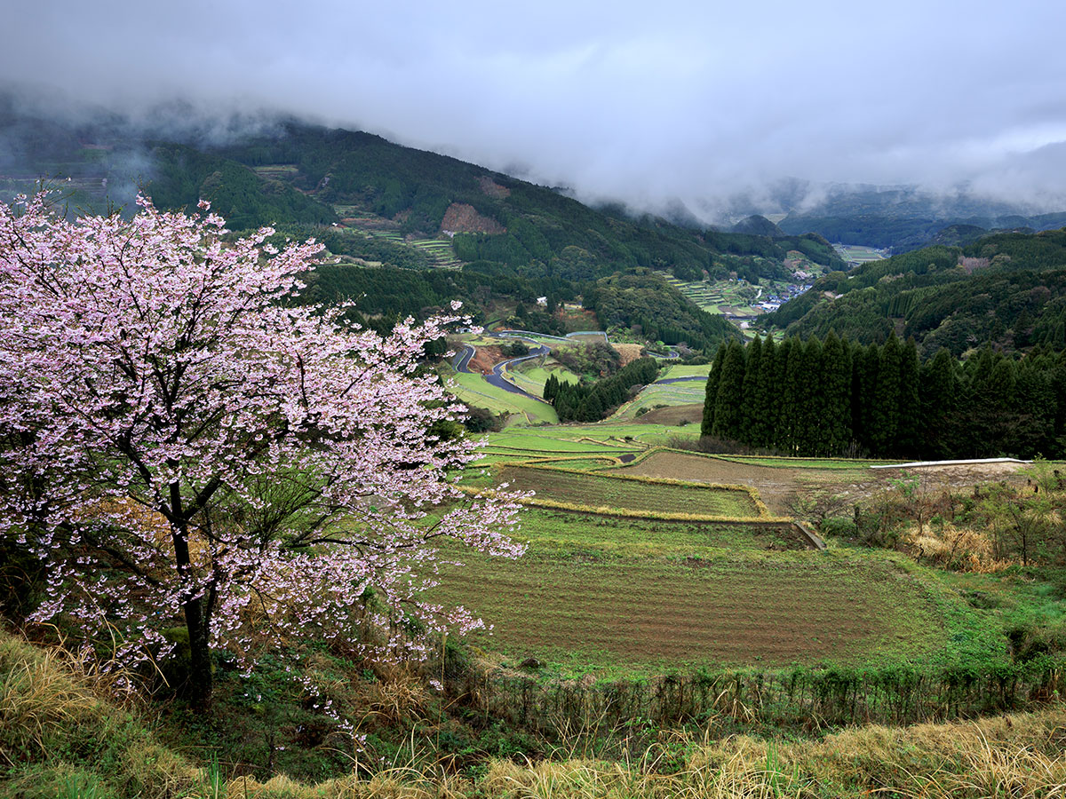 Saga City Mountain Area 