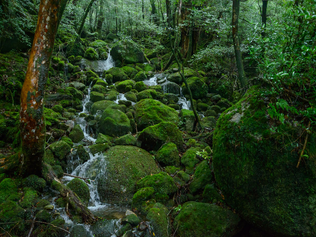 Shiratani Unsuikyo Ravine