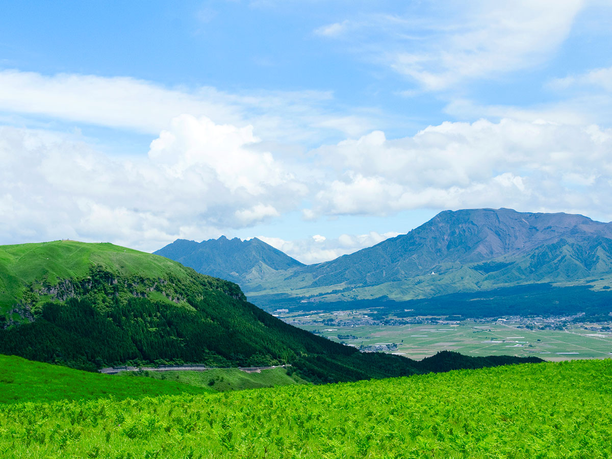 Daikanbo<br>Paragliding experience