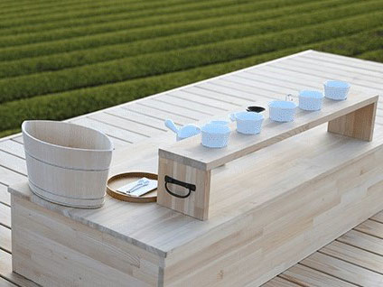 Ureshino-cha Tea Tourism